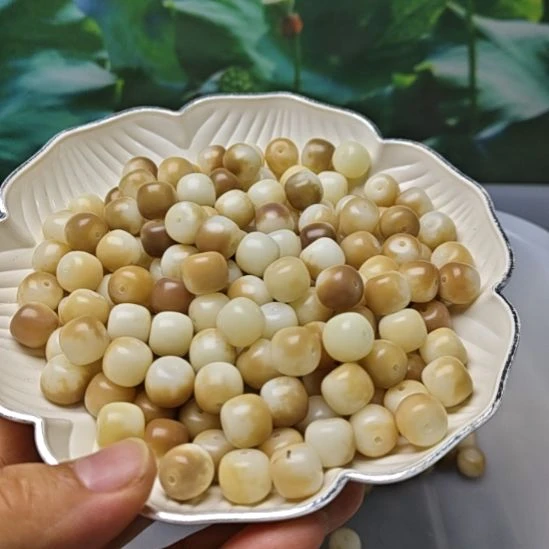 白玉菩提手串白玉菩提12暗夜玫瑰桶60颗