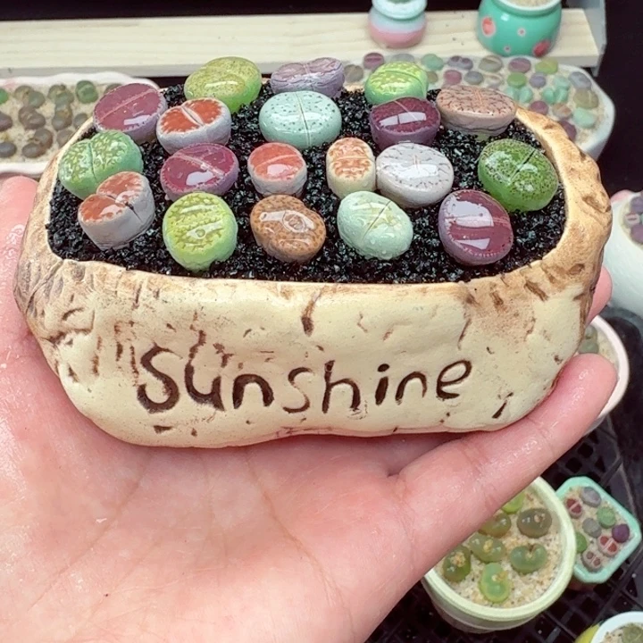 504零下地区记得拍保温箱