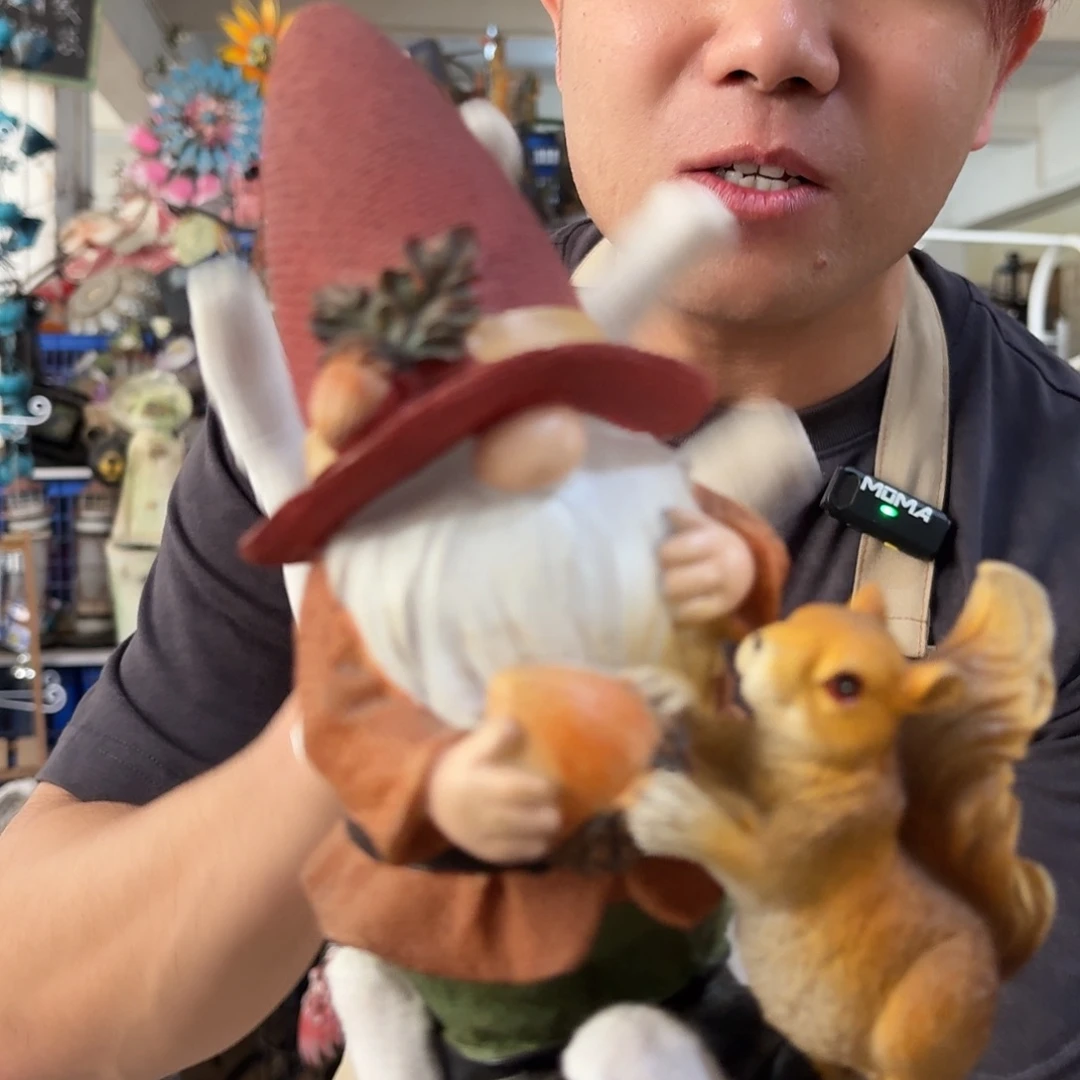 核桃木/黑胡桃（胡桃木）