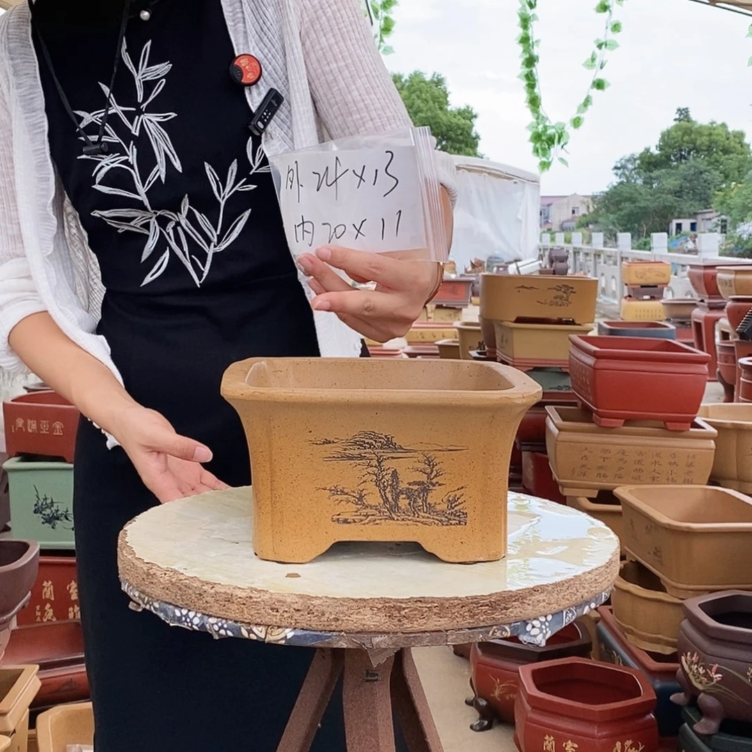 紫砂花盆紫砂花盆