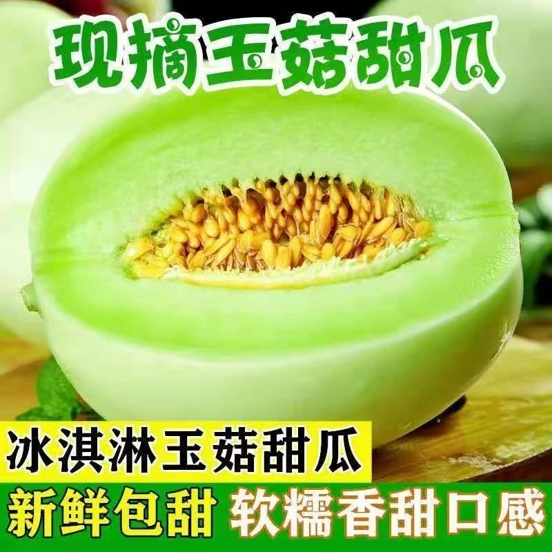 山东玉菇甜瓜冰淇淋口感香甜软糯当季新鲜水果