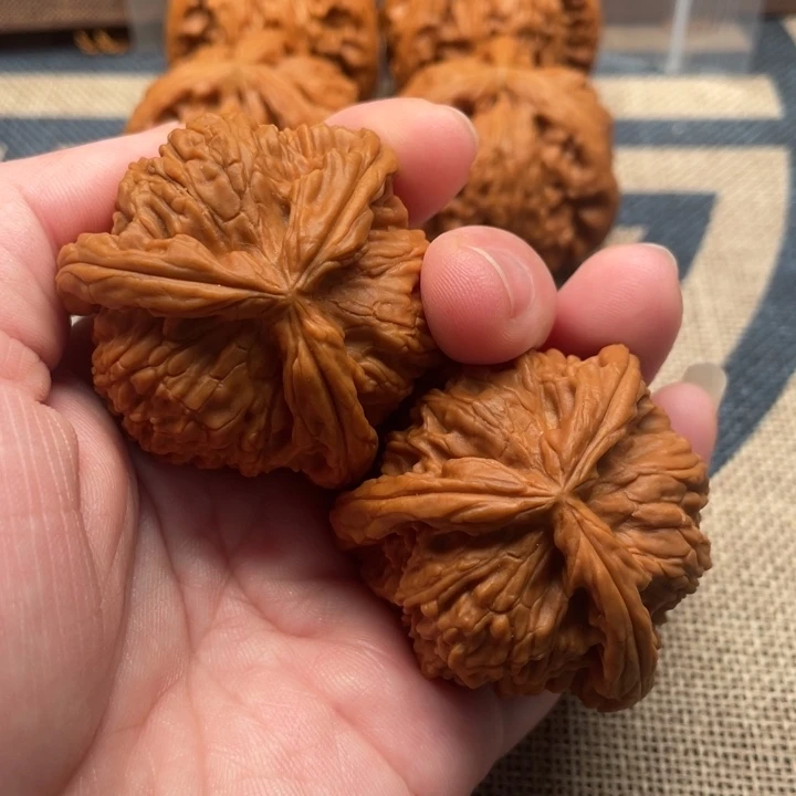 李***闹核桃白狮子42核桃