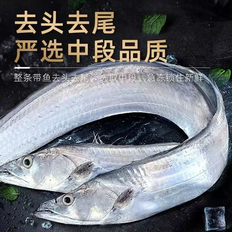 东海野生带鱼段中段无冰两到三指宽