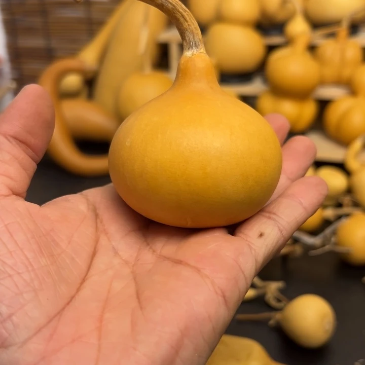 E****t16695699986999999999