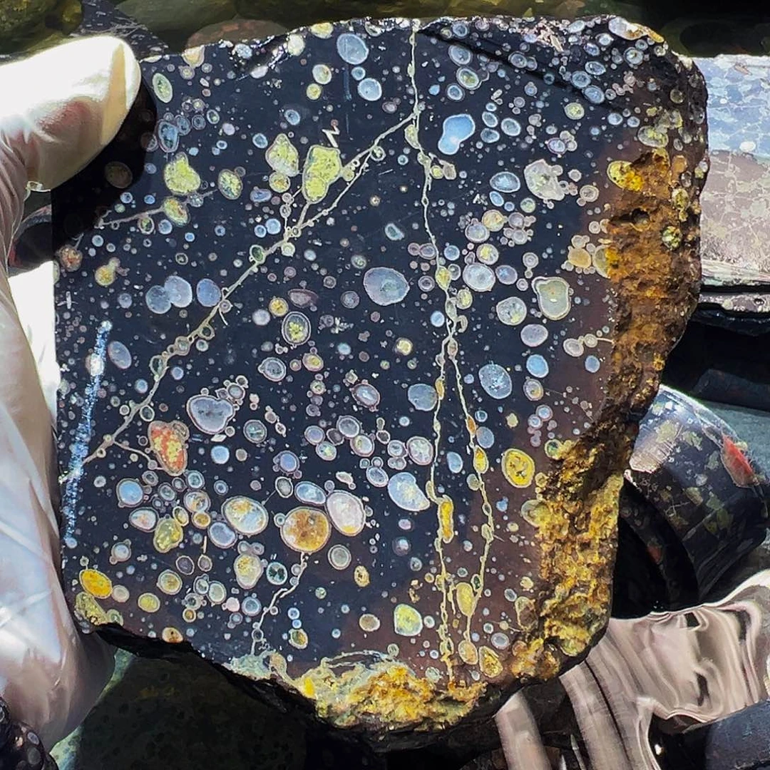 梅花玉鱼缸石茶周边不退不换