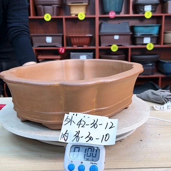 红陶用****8紫砂花盆里放的