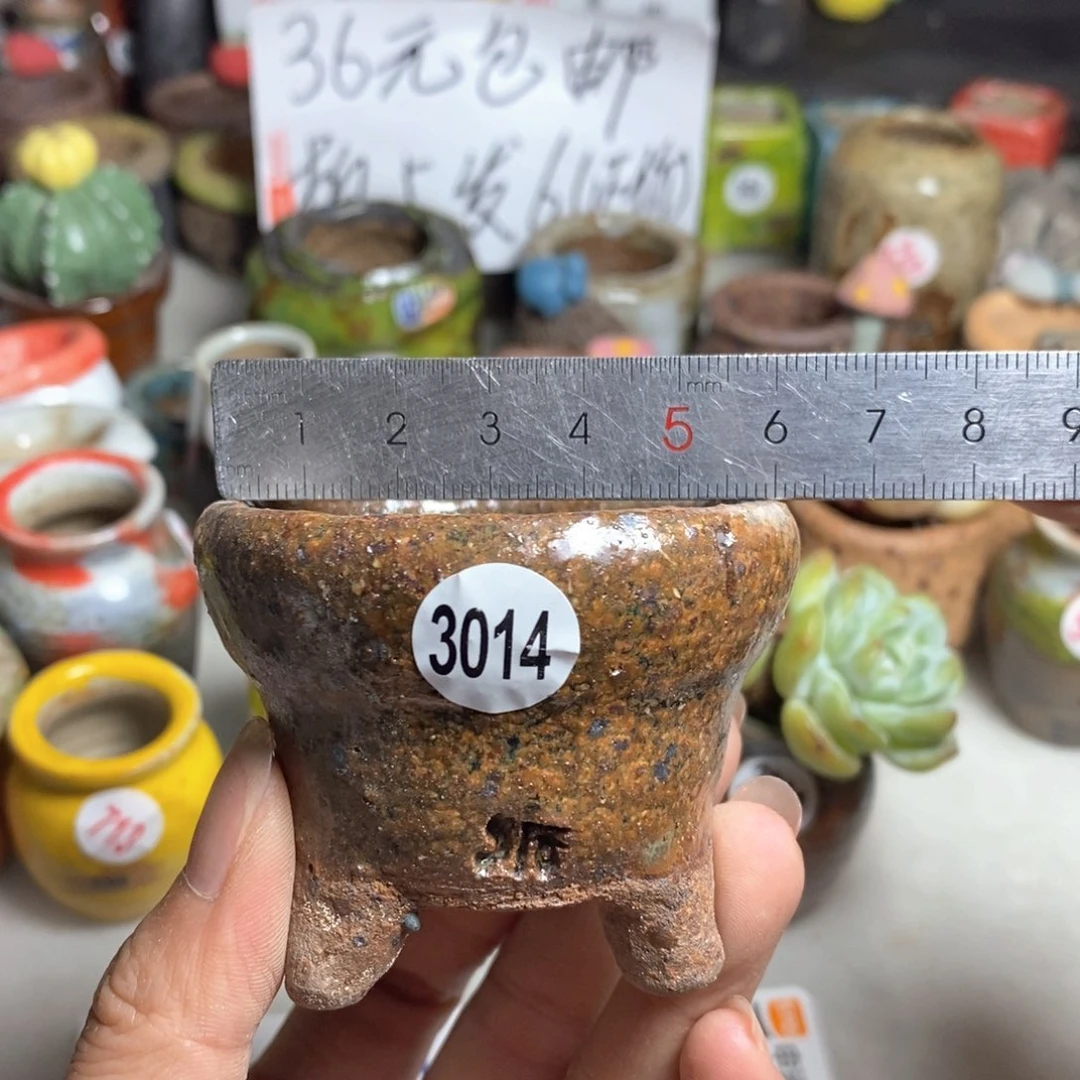 拍5送一个小礼物