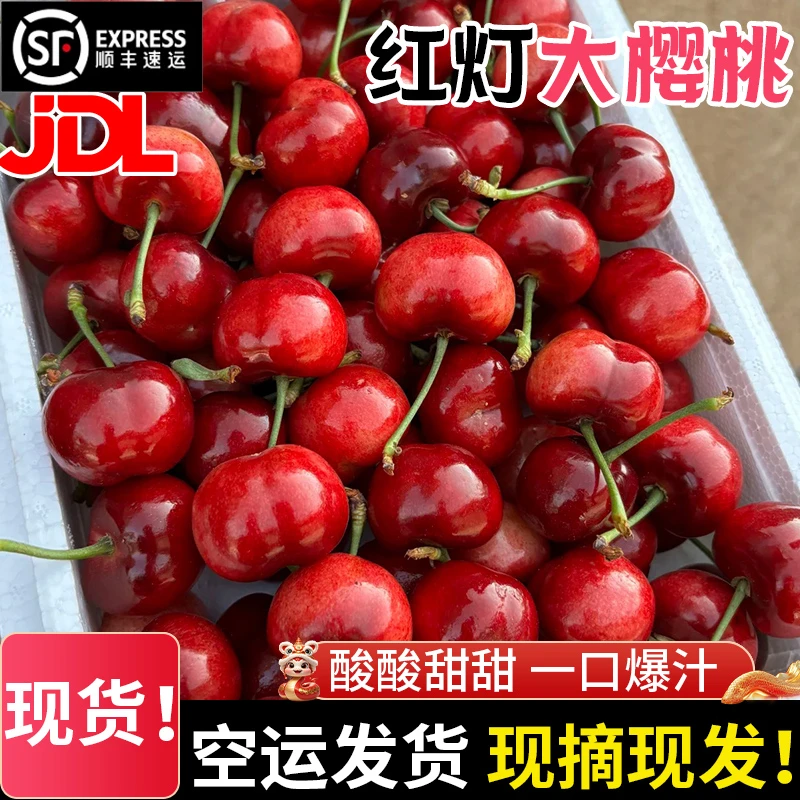 山东大红灯樱桃酸酸甜甜2斤现摘现发新鲜J顺丰/京东空运