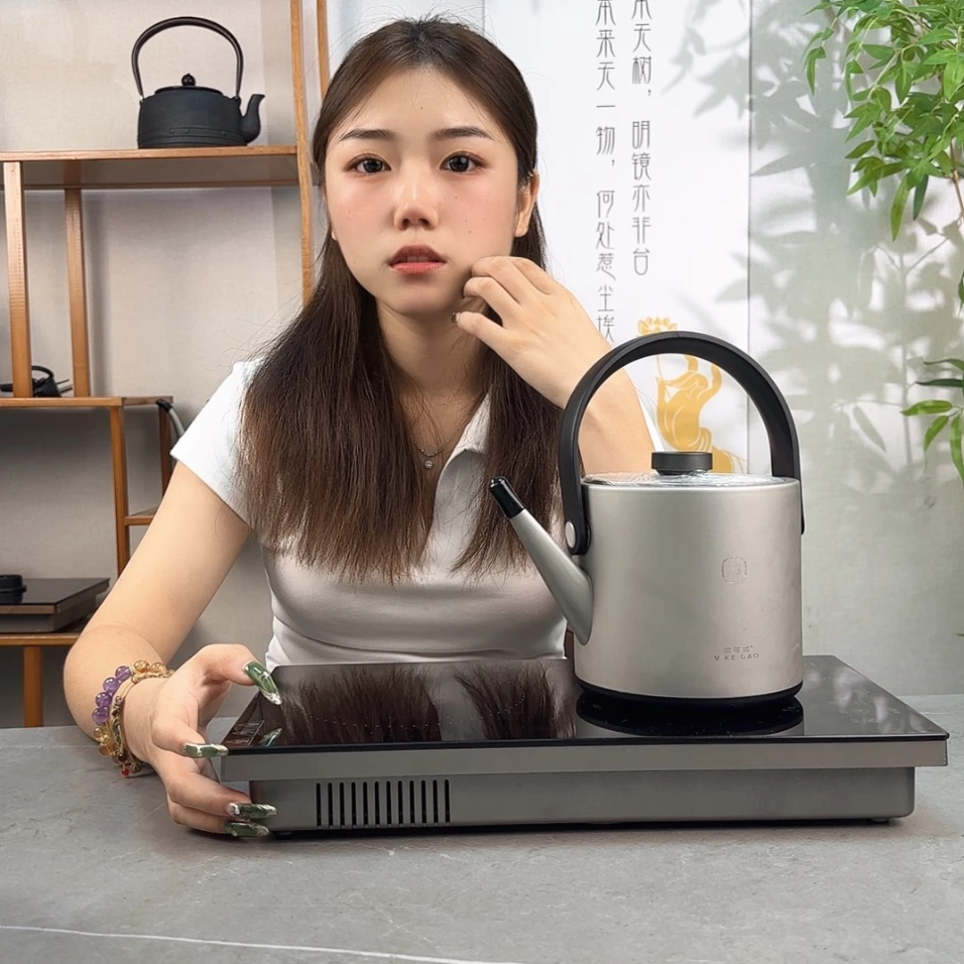 ****微可道纯钛烧水壶家用