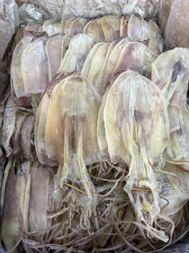 本港大中鱿鱼干干