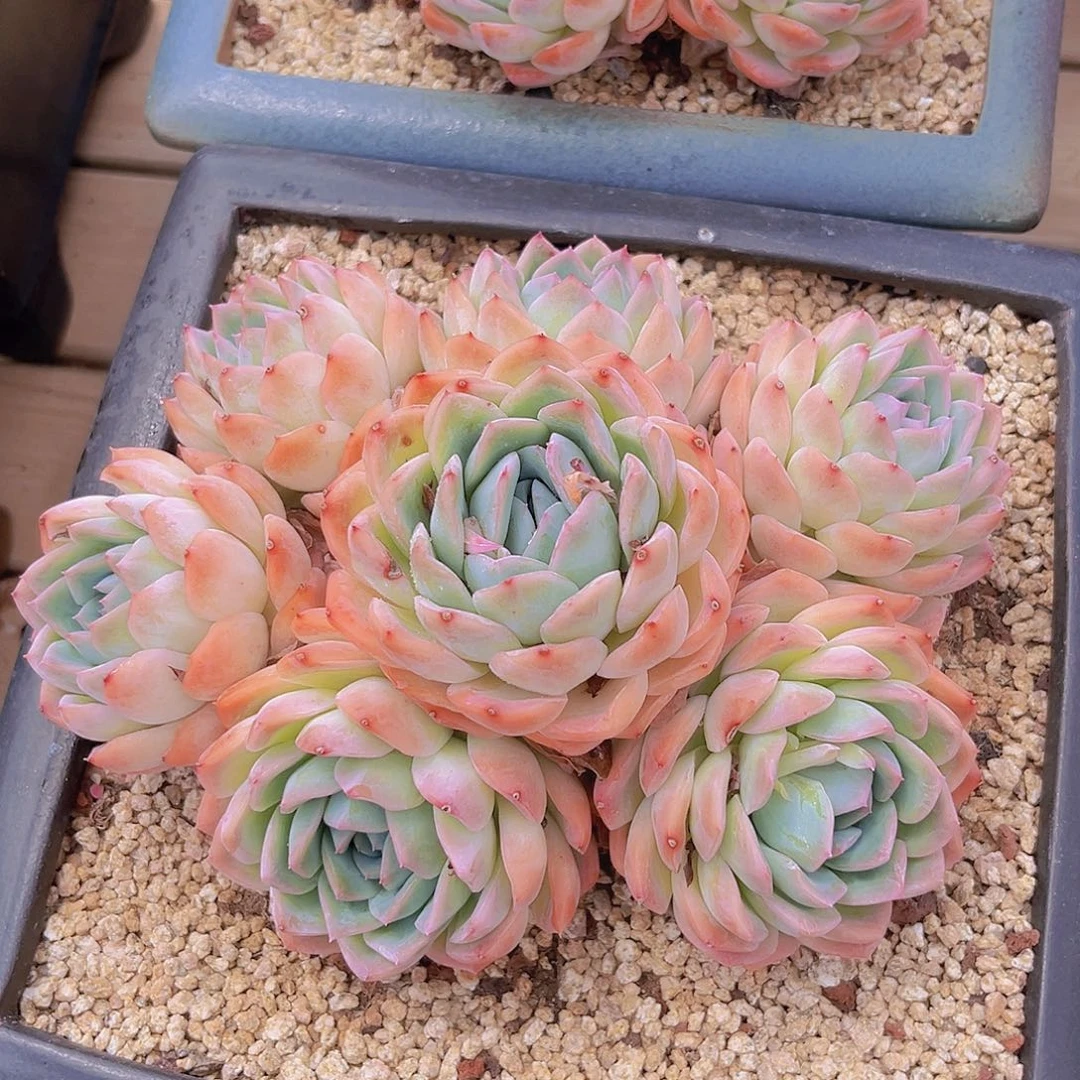 898989998888888888888@