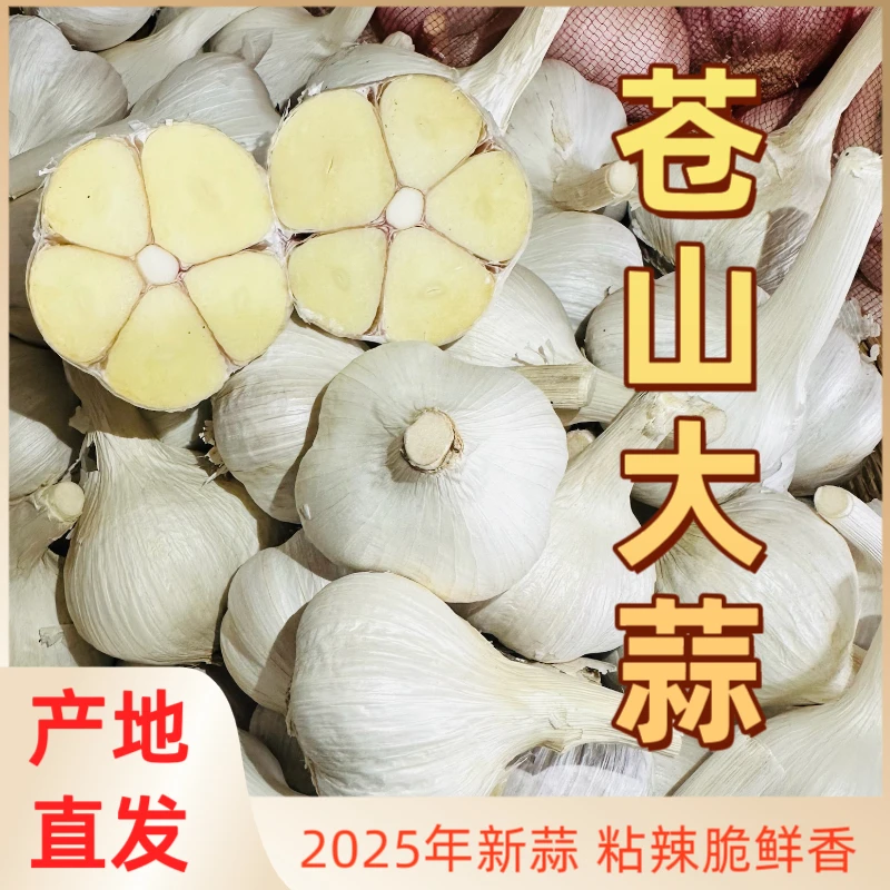2025年新苍山四六瓣白皮大蒜黏辣脆鲜香产地直发农户种植