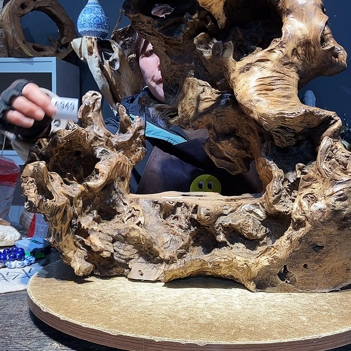 就**儿949株木随行的小根艺