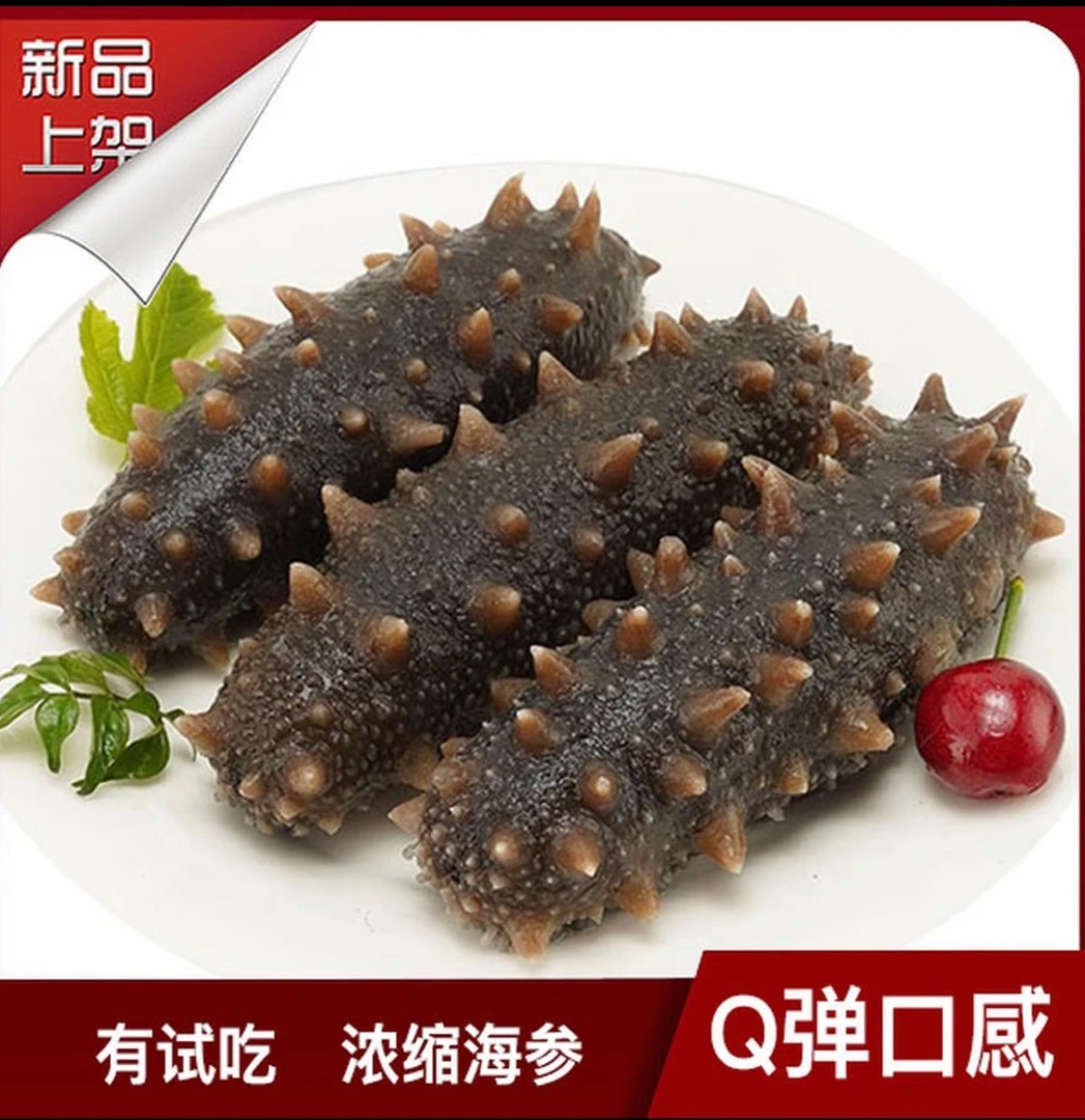 即食海参20头 500g 深海辽参顺丰冷链发货