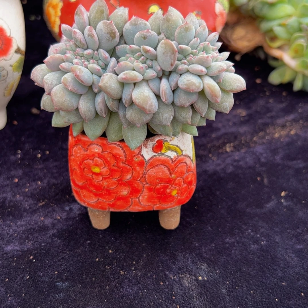 新年快乐 新年快乐 新年快乐