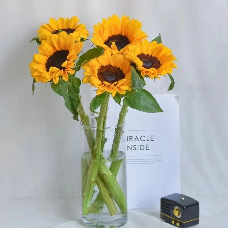 5枝-向日葵（花苞半开）向日葵生活鲜花家居花瓶插花心想事成！次日达-