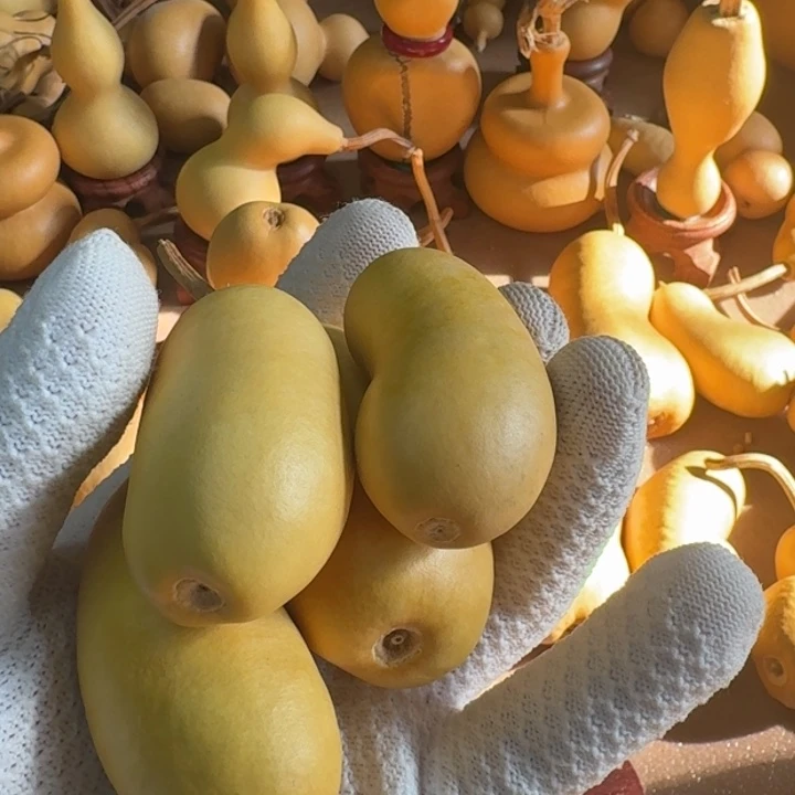 用***9葫芦111111111111111