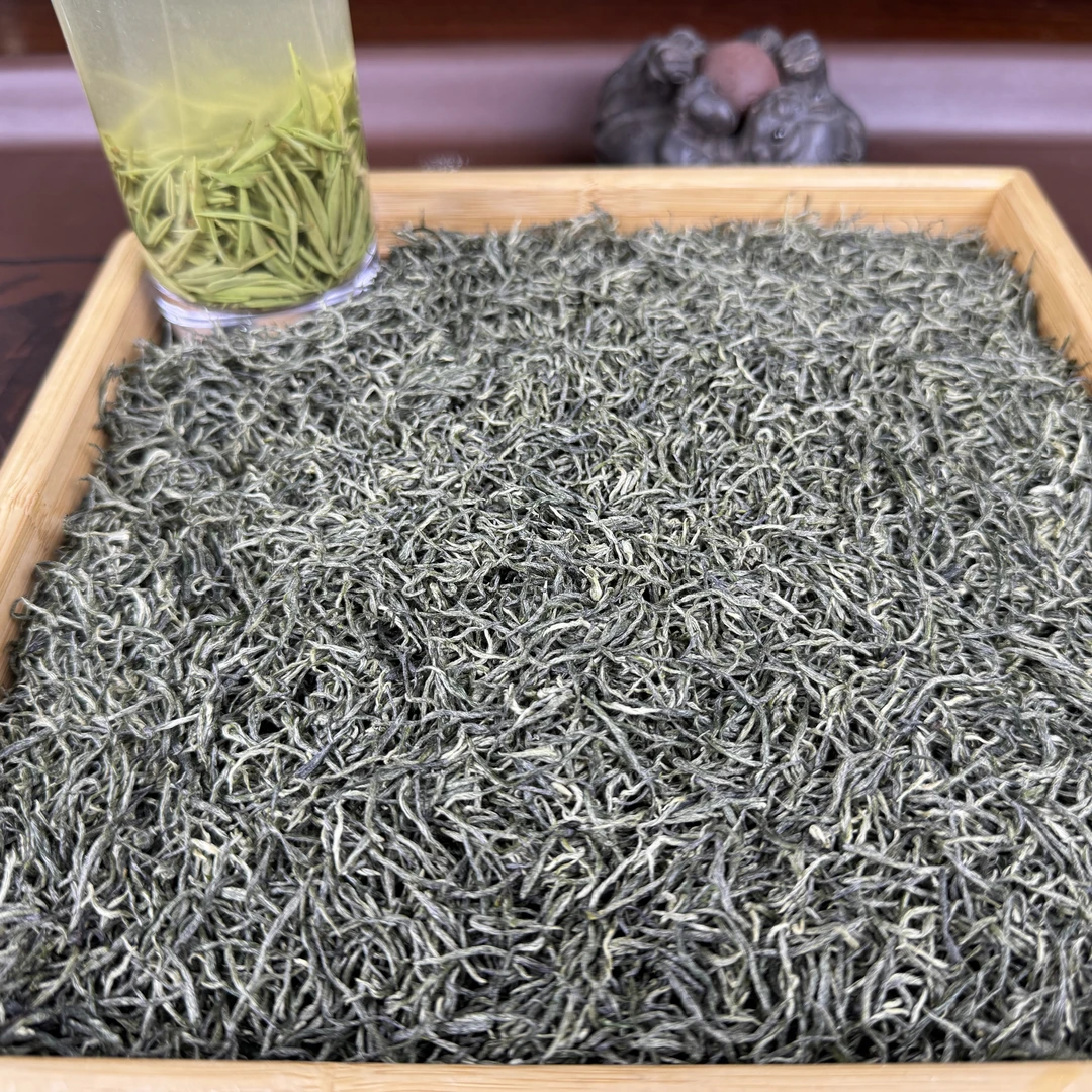 2025高山毛尖精品小芽