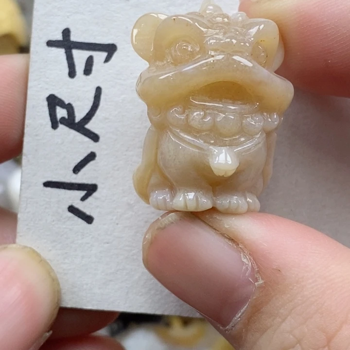 颈饰未镶嵌硅化珊瑚（珊瑚玉）