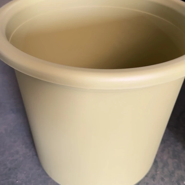 四季9号果绿无托2个➕8号果绿无托3个特价微瑕