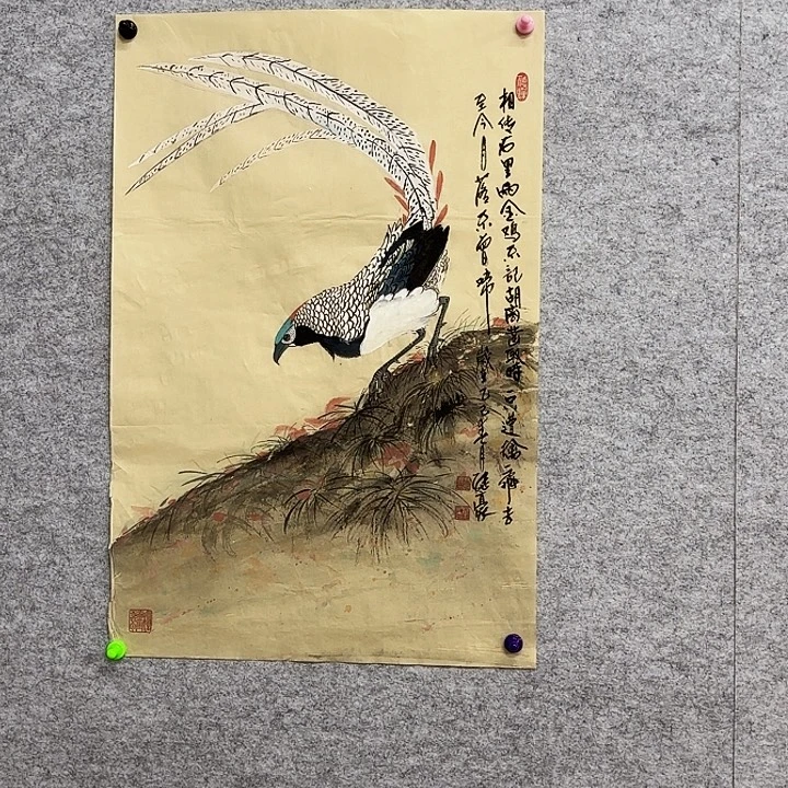 国画花鸟等多种鸟类的栖息