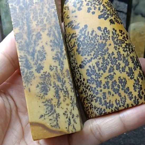 毋***殆老挝石江西水草花