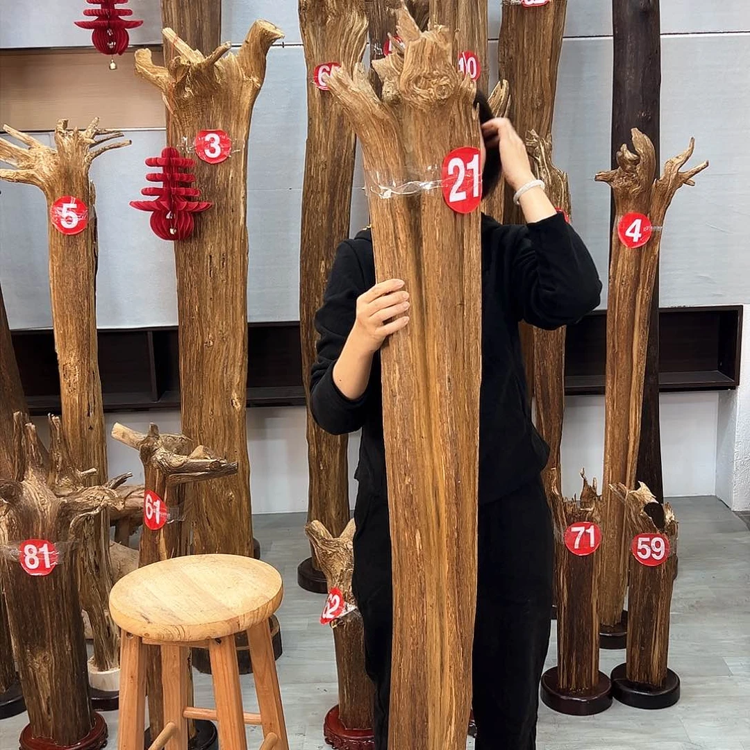 沉香摆件海南沉香摆件