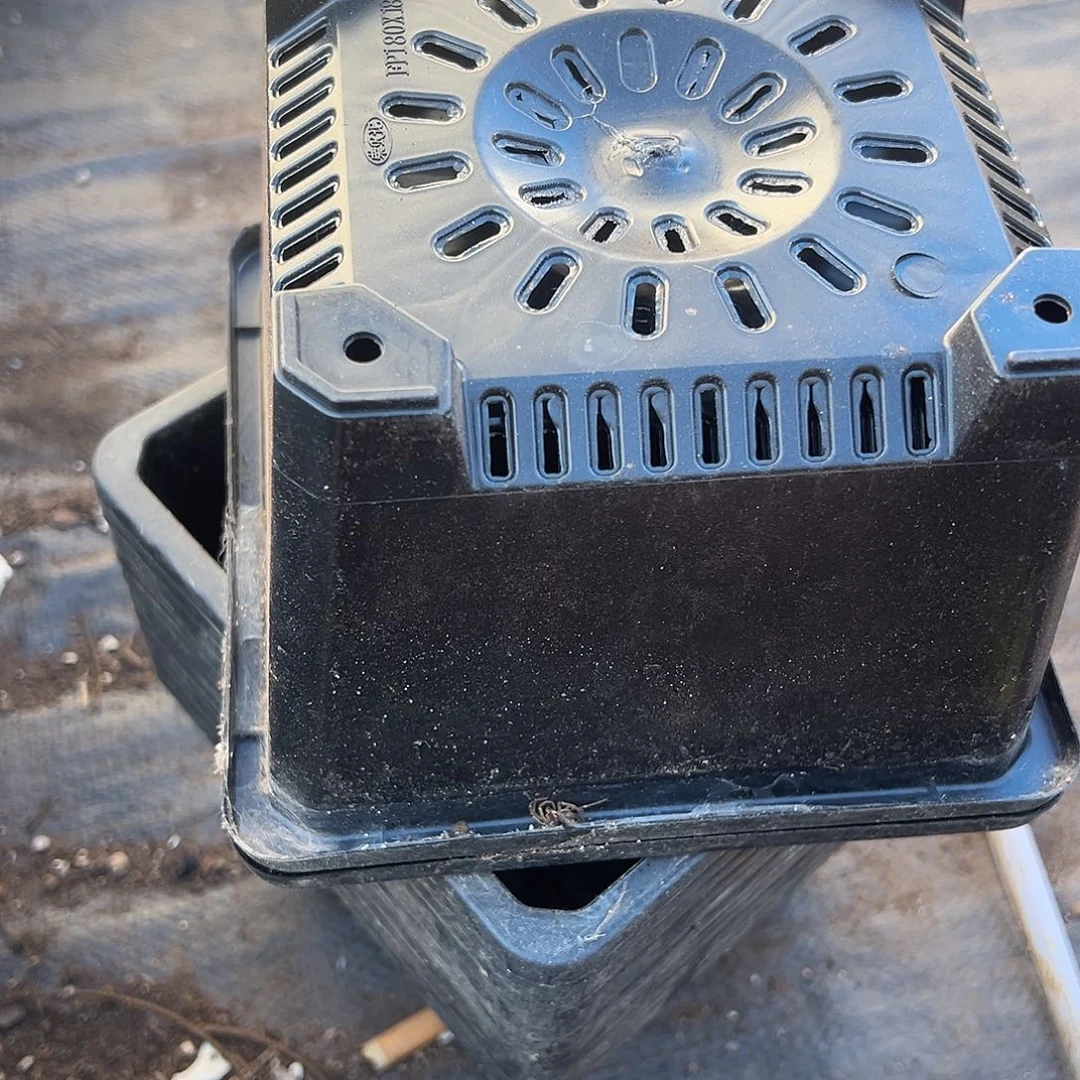 塑料黑方口径17.5发15个