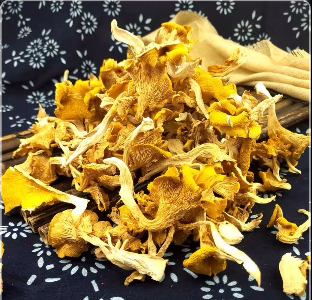 野生榆黄蘑(包邮)