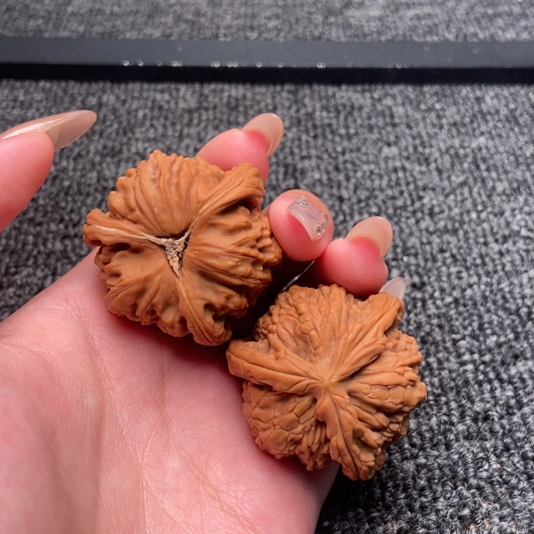 差***米木质类白狮子正奔