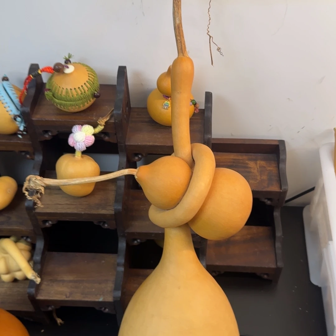 建***Z葫芦葫芦葫芦葫芦葫芦