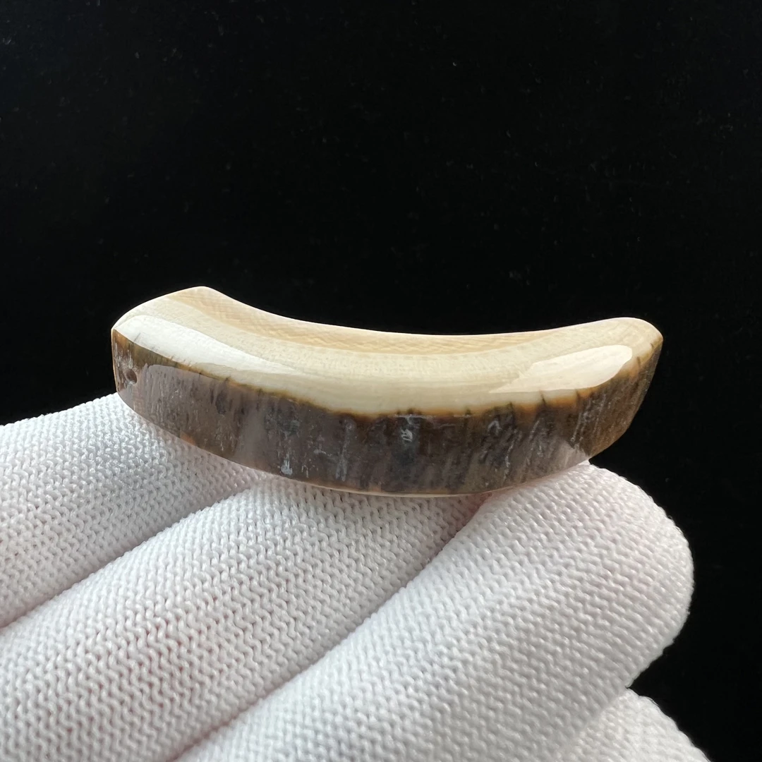 D4187天然猛犸牙 牙尖 57mm支持鉴定 假一罚四