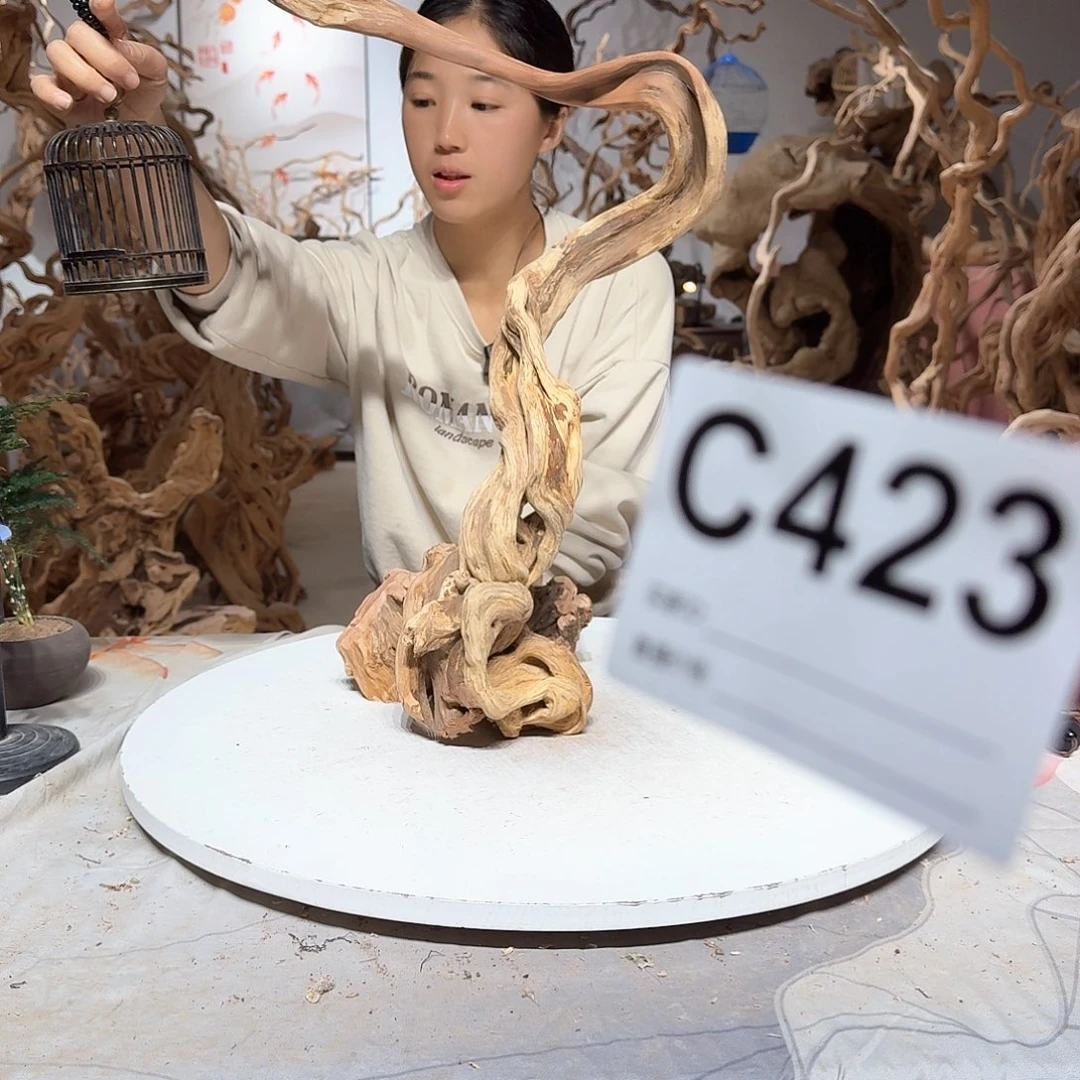 风车木（黑檀木）陶**居