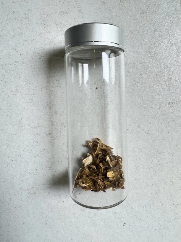 沉香F10奇楠沉香罐子代替链接多样性发一