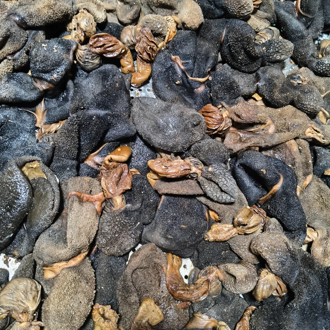 清真全熟黑毛羊肚五斤