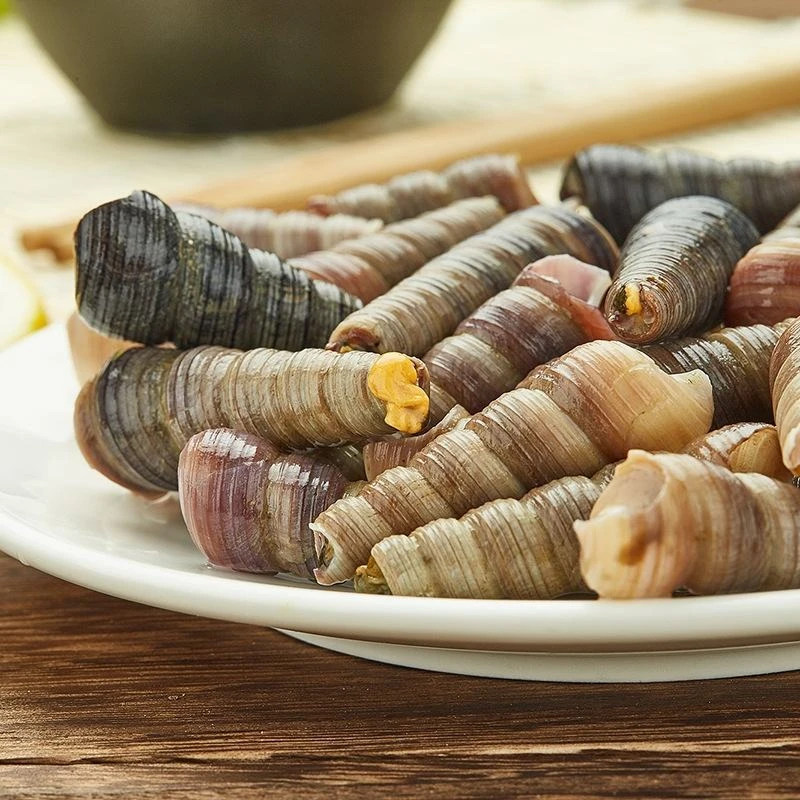 【新永发·尝鲜特惠】鲜钉螺一斤