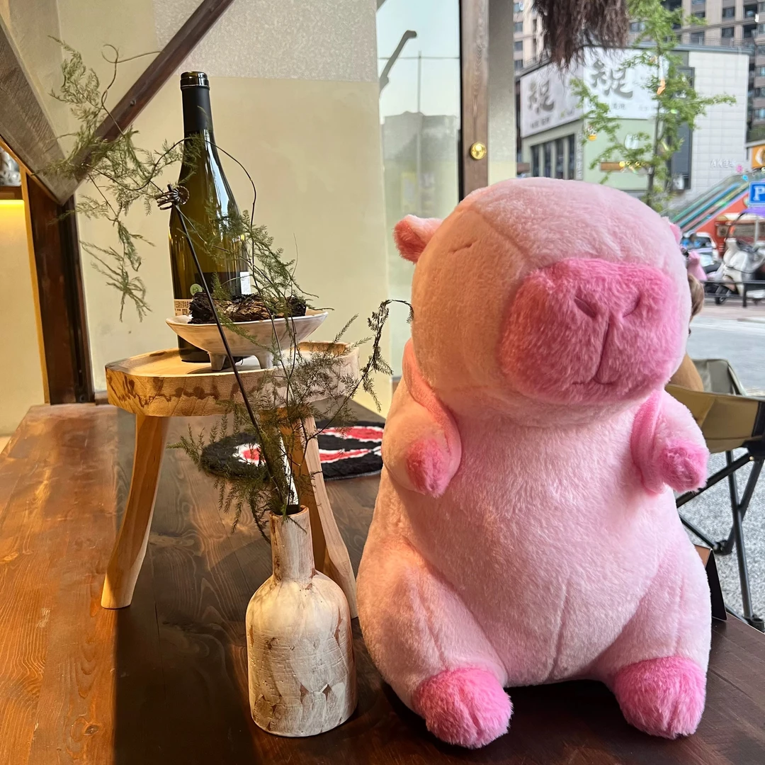 可爱粉色卡皮巴拉毛绒玩具抱枕一个40cm超软抱枕靠垫不是台钓竿