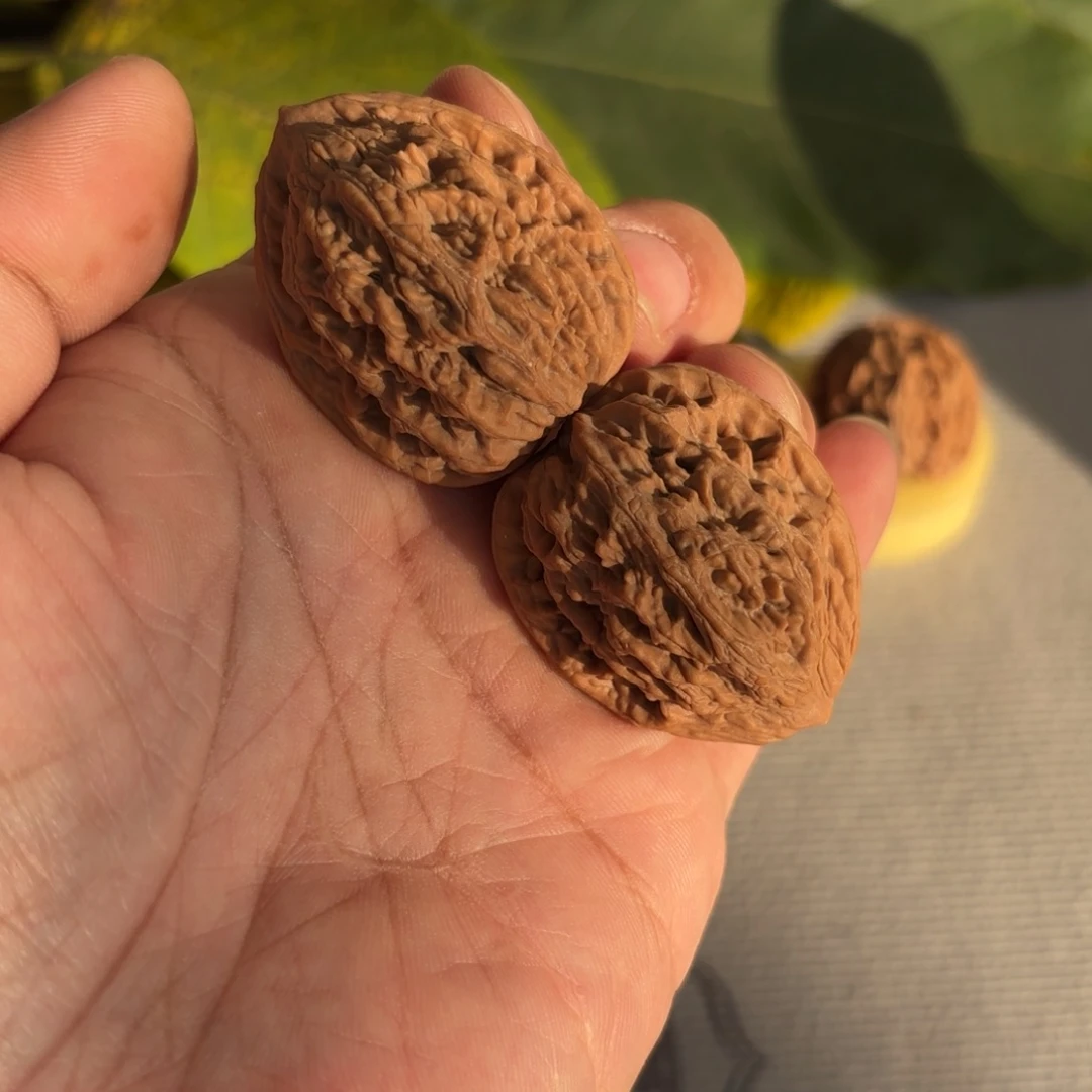 文玩核桃把件麦穗虎头