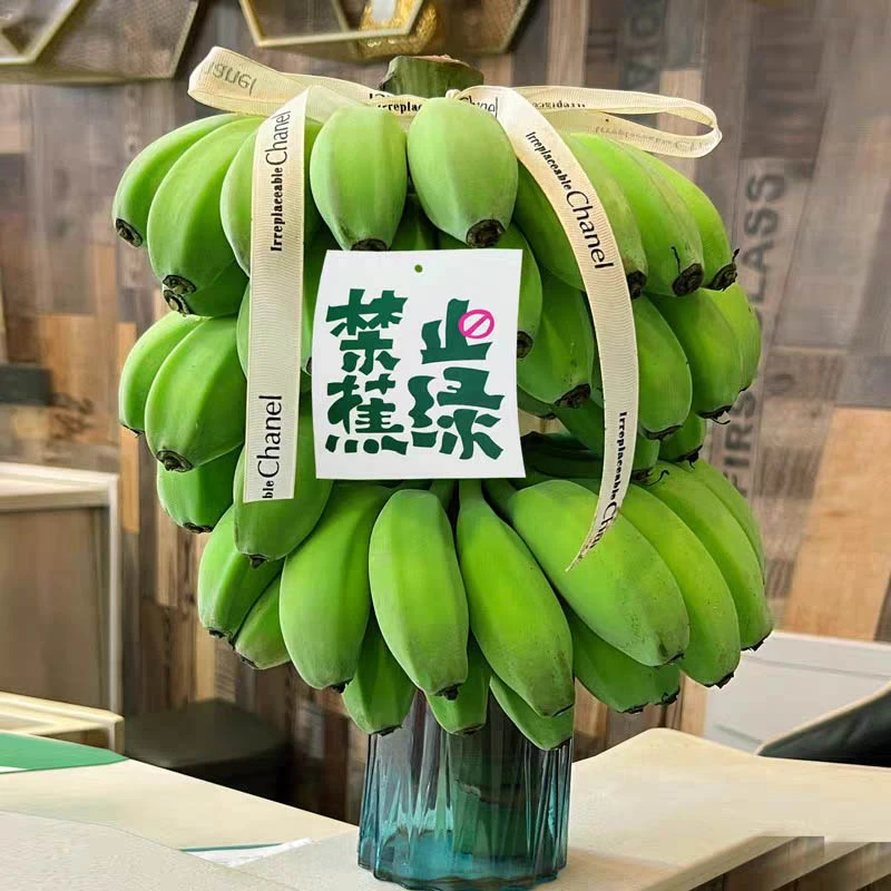 【田园音符】禁止蕉绿带杆发货  水培苹果蕉 7-11斤 配花瓶跟卡片