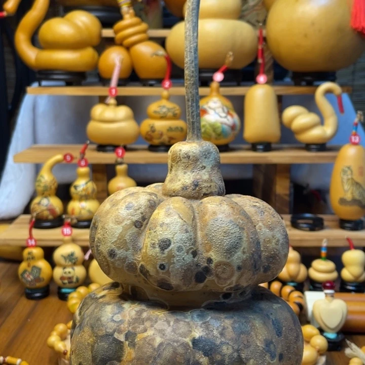 骆***?天然葫芦自然生长