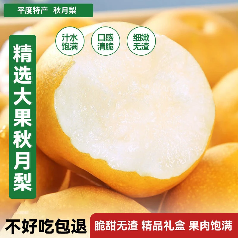 山东秋月梨正宗平度秋月梨新鲜梨子冰糖雪梨脆甜薄皮5斤±100g