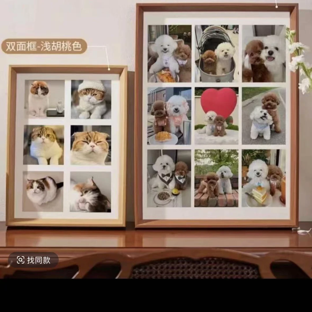 宠物直播相册专属