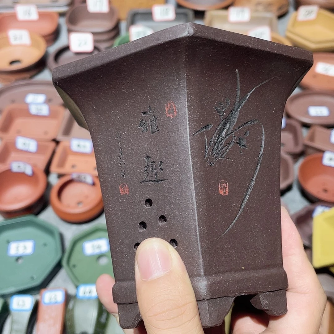 紫砂小盆10*11cmmmmm
