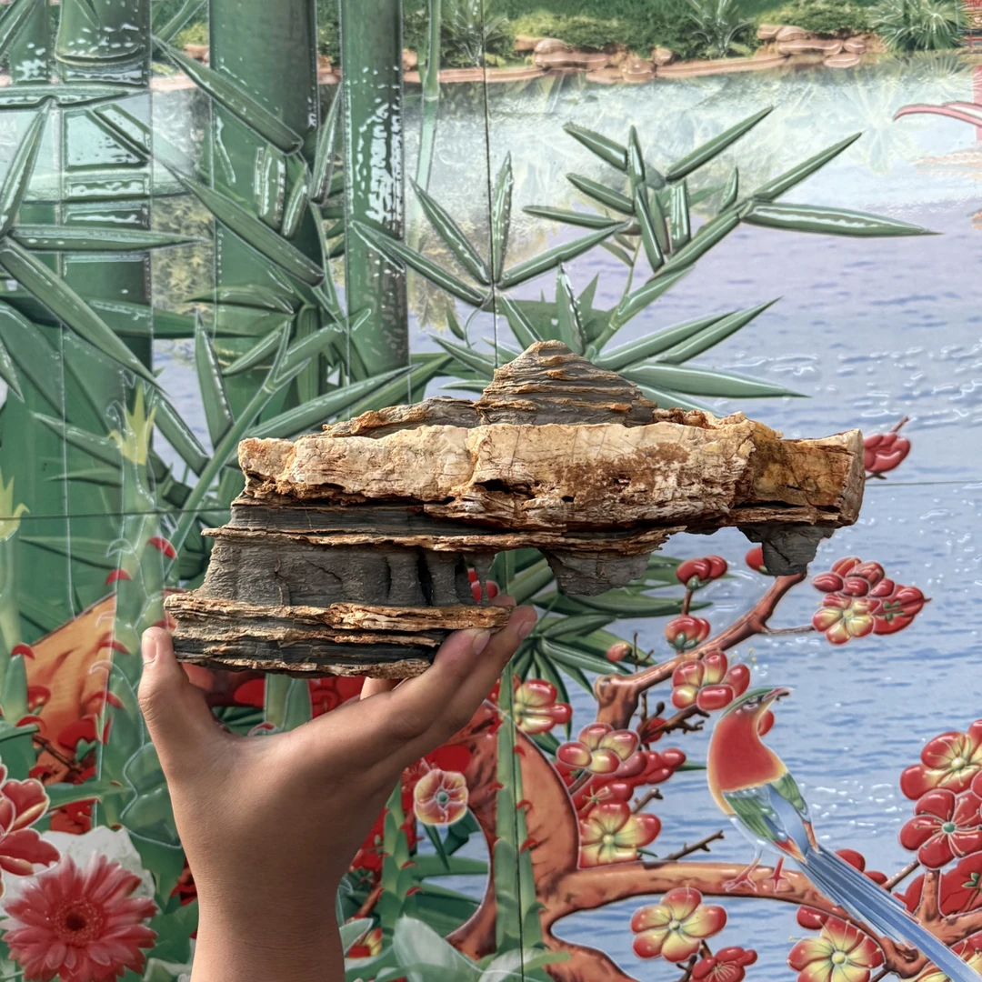 太行奇石鱼缸盆景庭院鱼池造景岩层少量脱落属正常现象