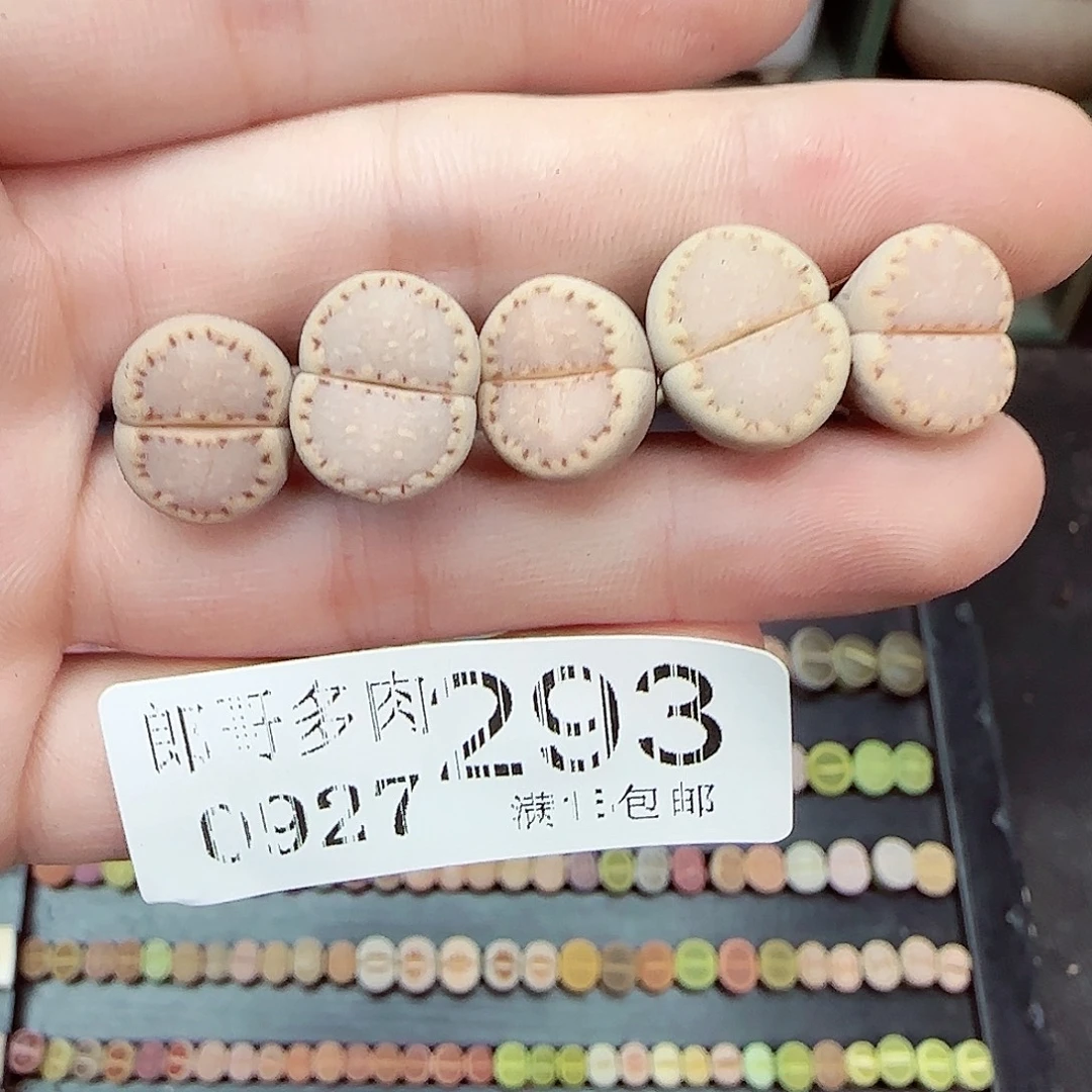 满满18包邮0927-293