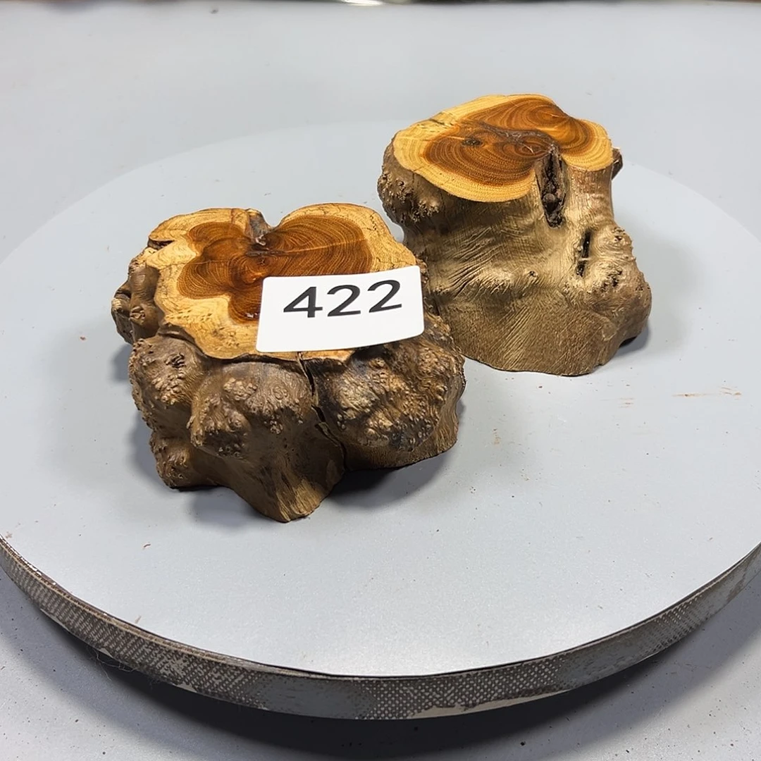 大果紫檀（缅甸花梨）喜*