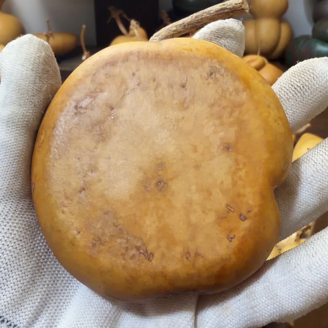 腿***多纯天然的真葫芦 28