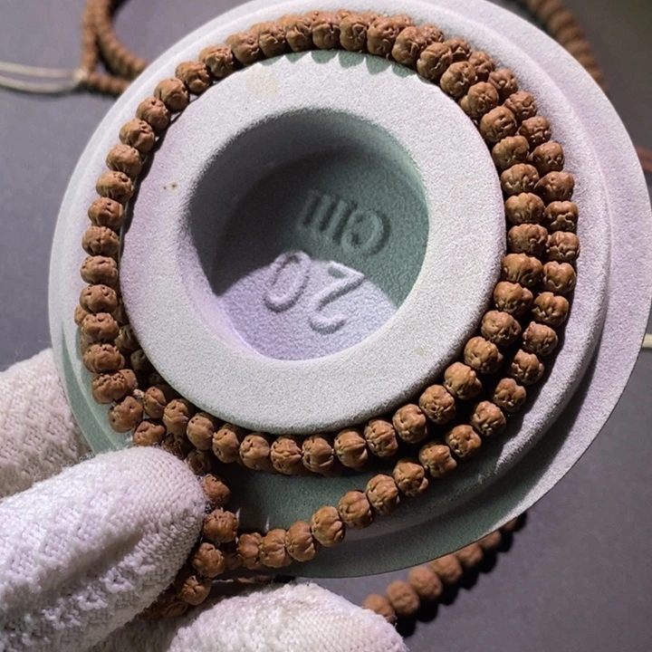 吊坠金刚菩提原桩五爪佛手6.0