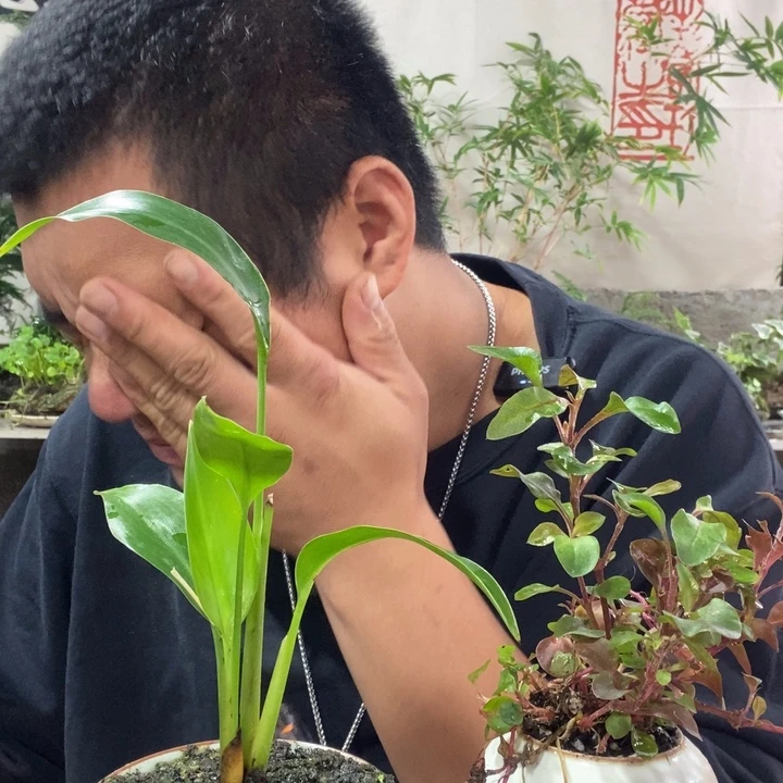 以实际为准退款拉黑拉黑4