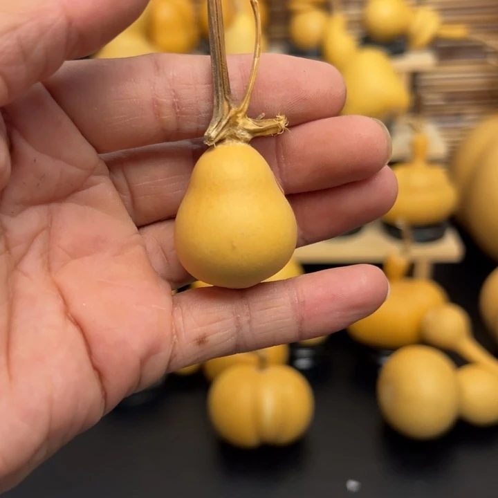 L****?125666586666669999